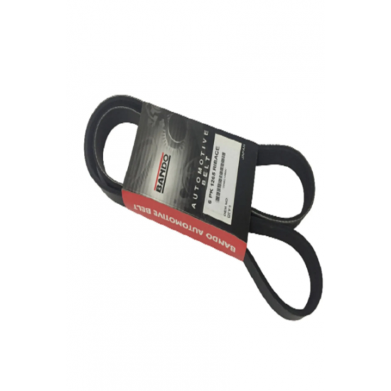 Kanallı Kayış  6 PK 1265 RIBACE