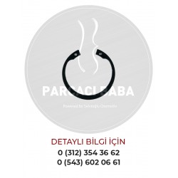 Temsa Prestij Euro 6 Klima Kompresör Kasnak Emniyet Segmanı