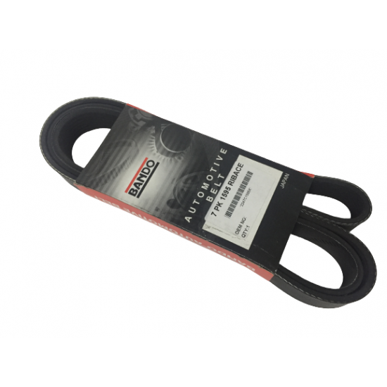 Mitsubishi Fuso Canter Euro 5 Alternatör Kayışı 7 PK 1595 RIBACE